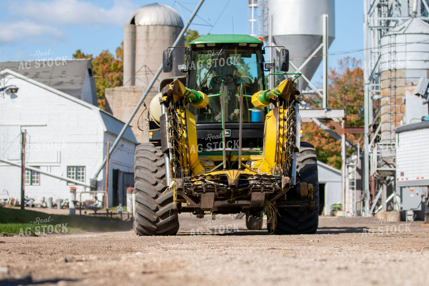 Forage Harvester on Farm 157095