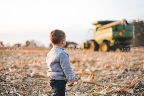 Farm Kid in Corn Field 115023