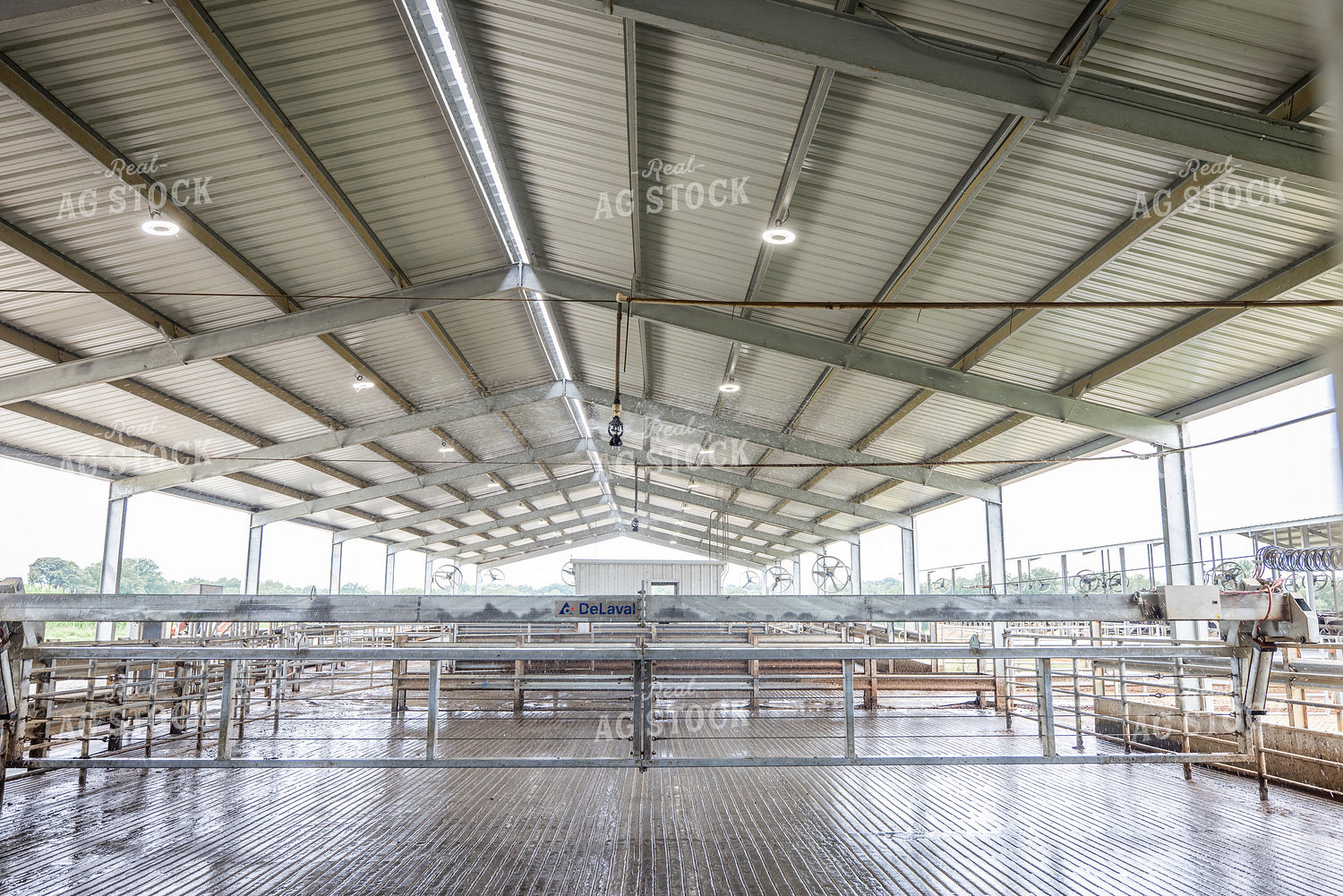 New Construction Freestall Barn 270231