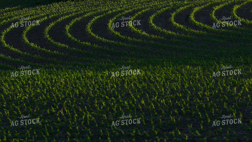 Scenic Landscape 129085