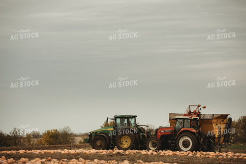 Food Pumpkin Harvest 3558