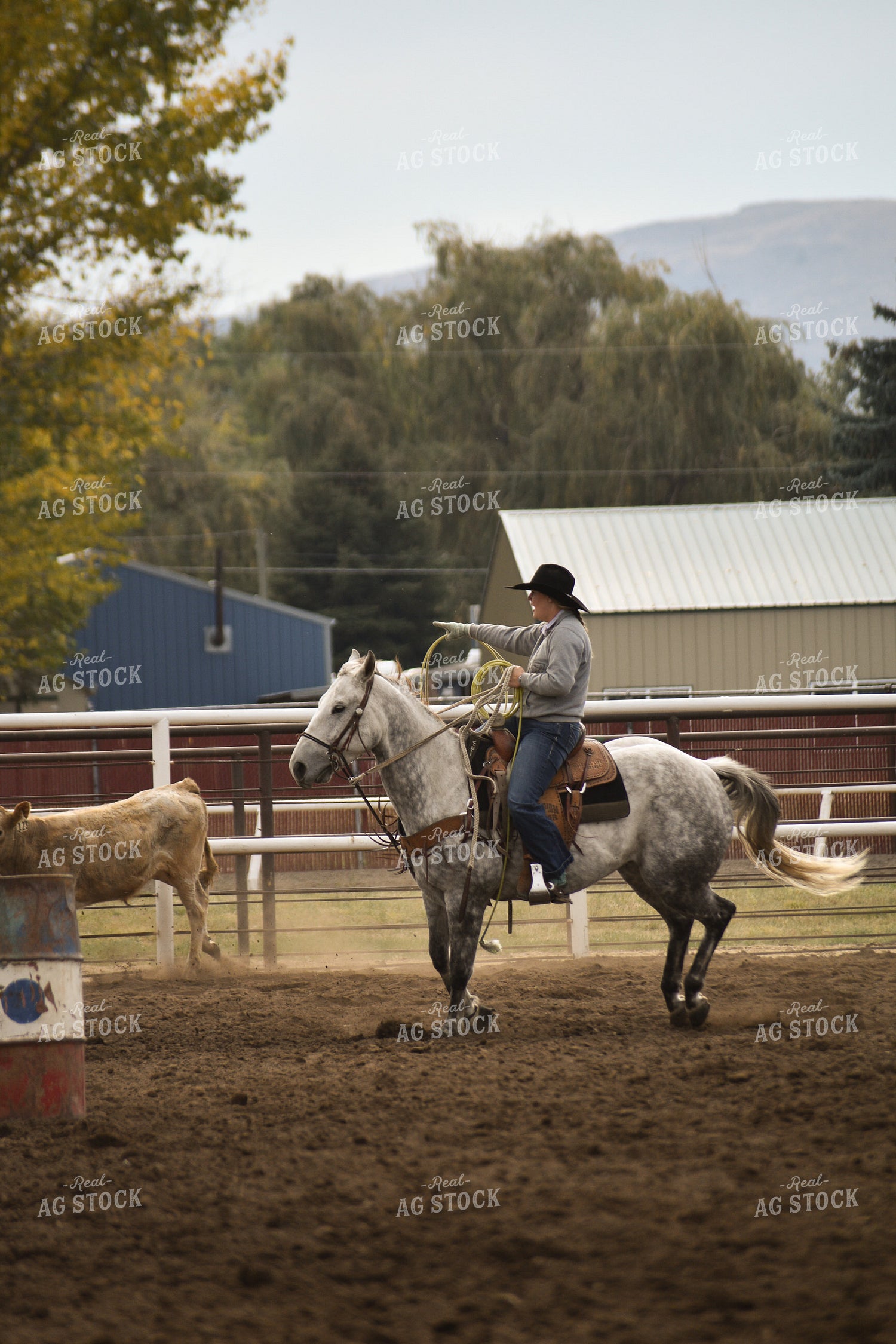 Female Rancher on Horseback 263016