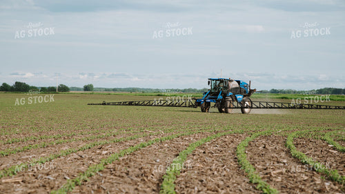 New Holland Self-Propelled Sprayer Applying Crop Protection to Early-Season Field 401024