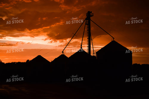 Grain Bin Site Silhouette at Sunset 50048