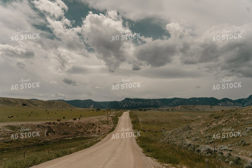 Gravel Road and Pasture 58230