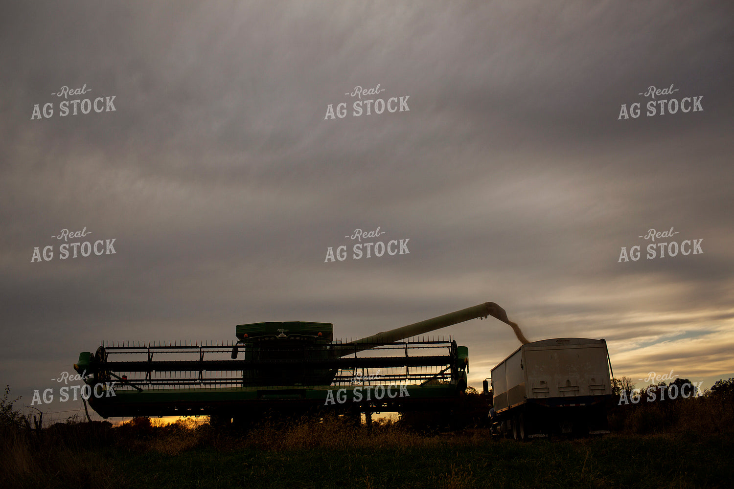 Harvest 2623