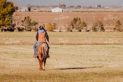 Rancher on Horse in Pasture 97097