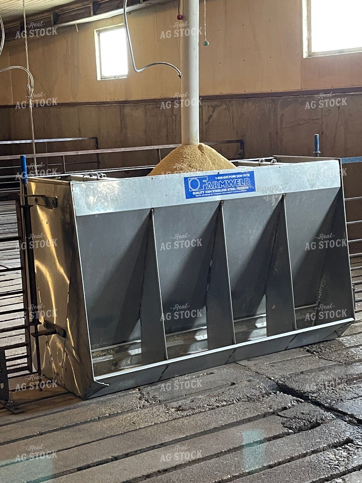 Pig Feeder 103039
