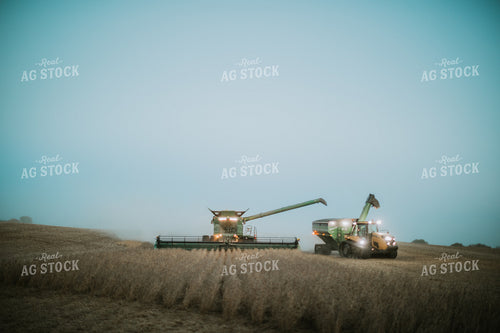 Soybean Harvest 6782