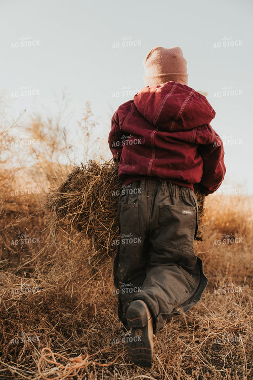 Ranch Kid Doing Chores 61240