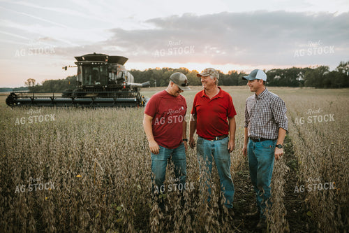 Farmers Standing in Dried Soybean Field at Sunset 4975