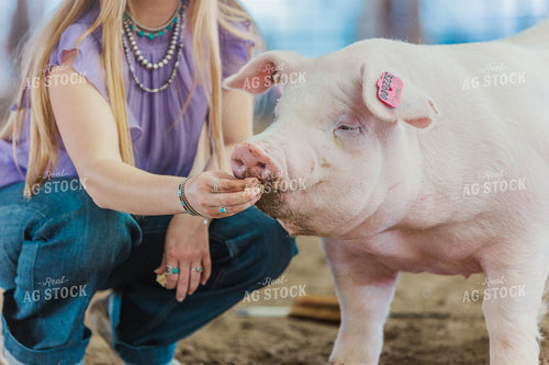 Hand Feeding Pig 131003