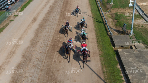 Harness Racing 52878