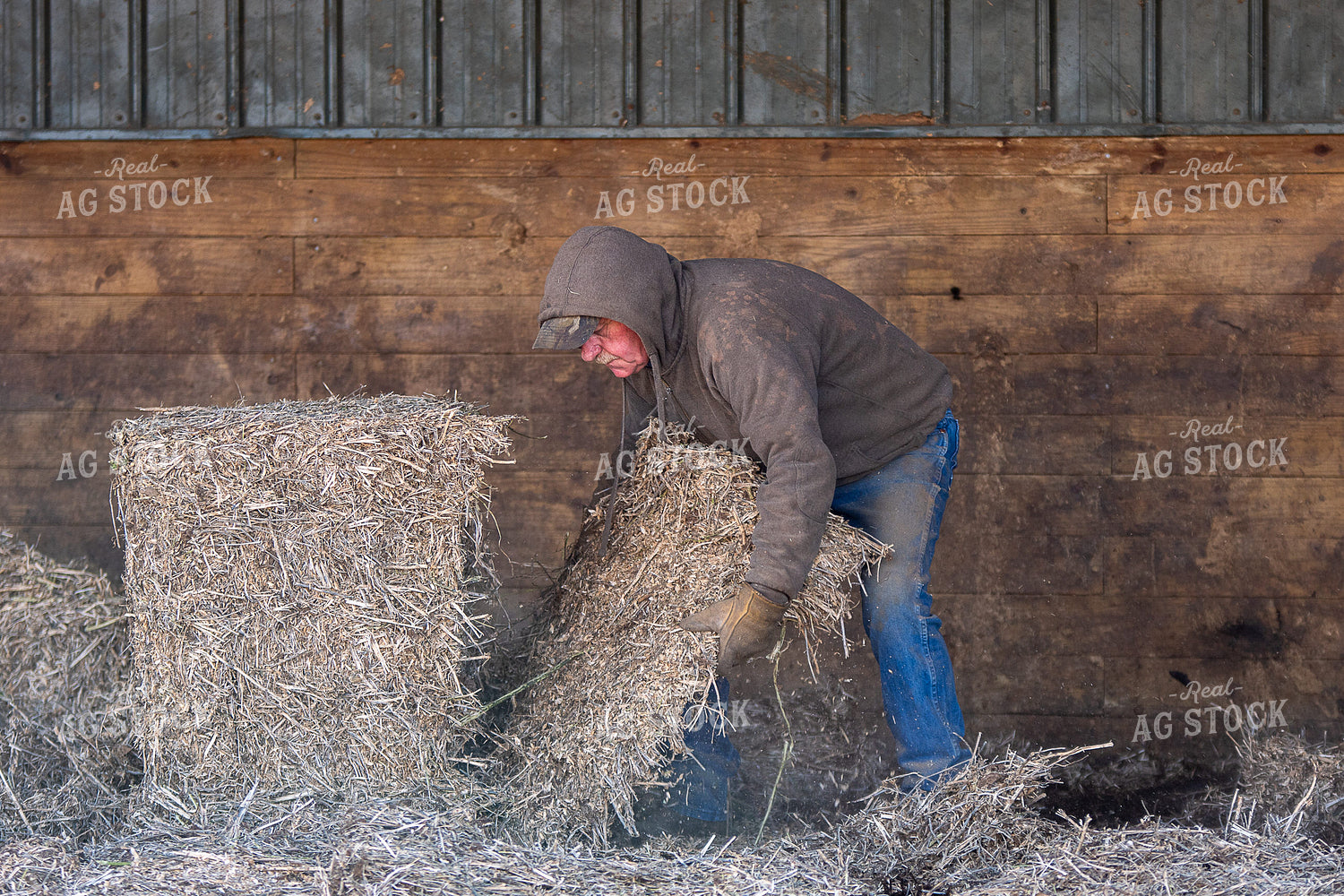 Farmer Preparing Bedding 50471