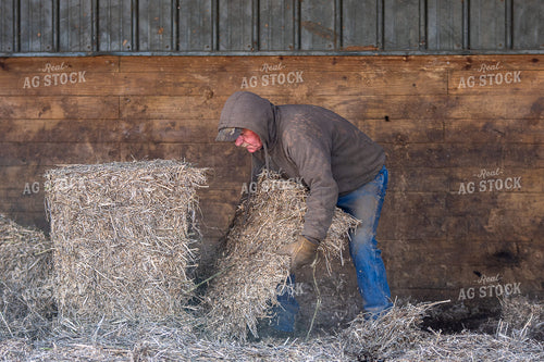 Farmer Preparing Bedding 50471