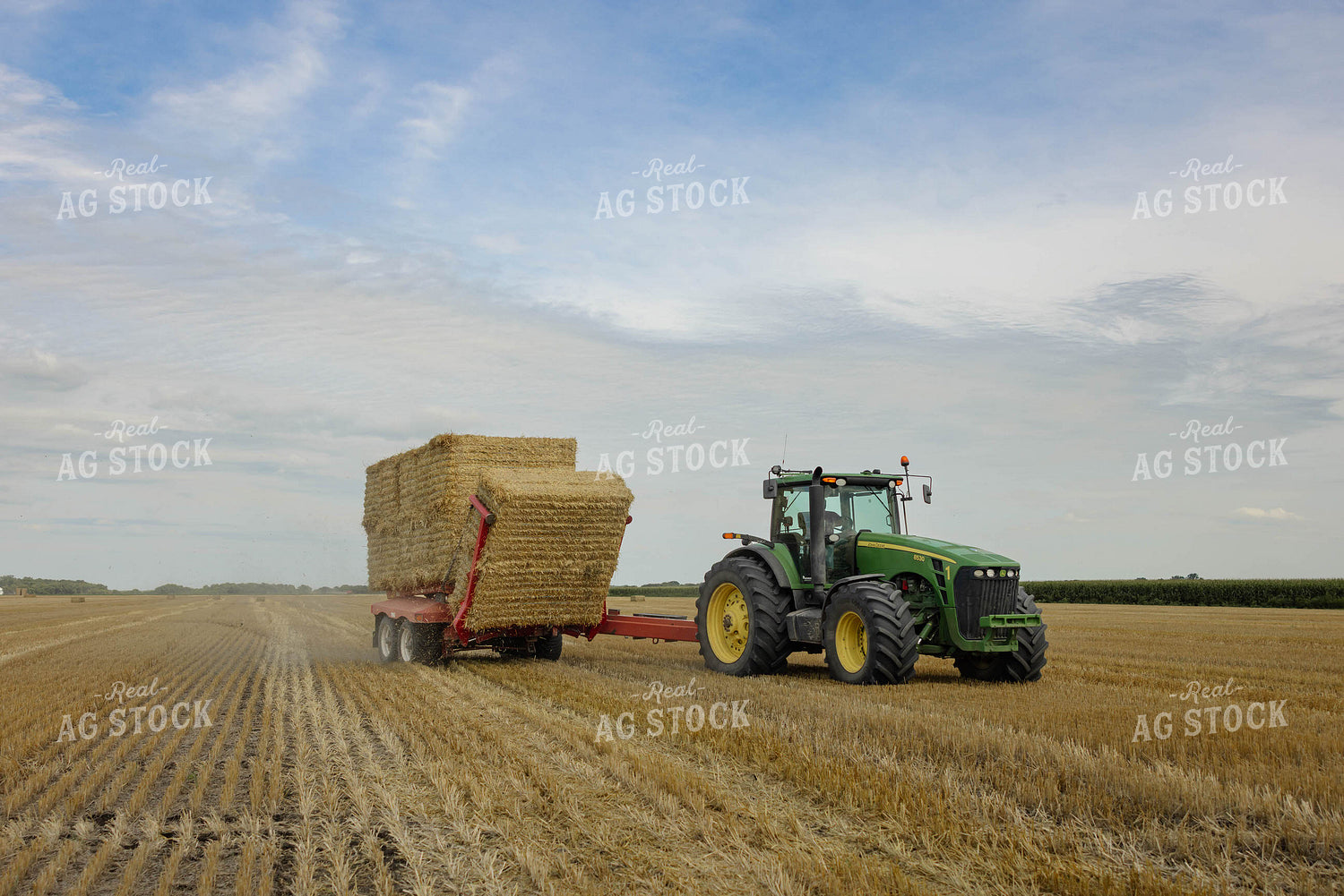 Loading Wheat Straw Bales 296072