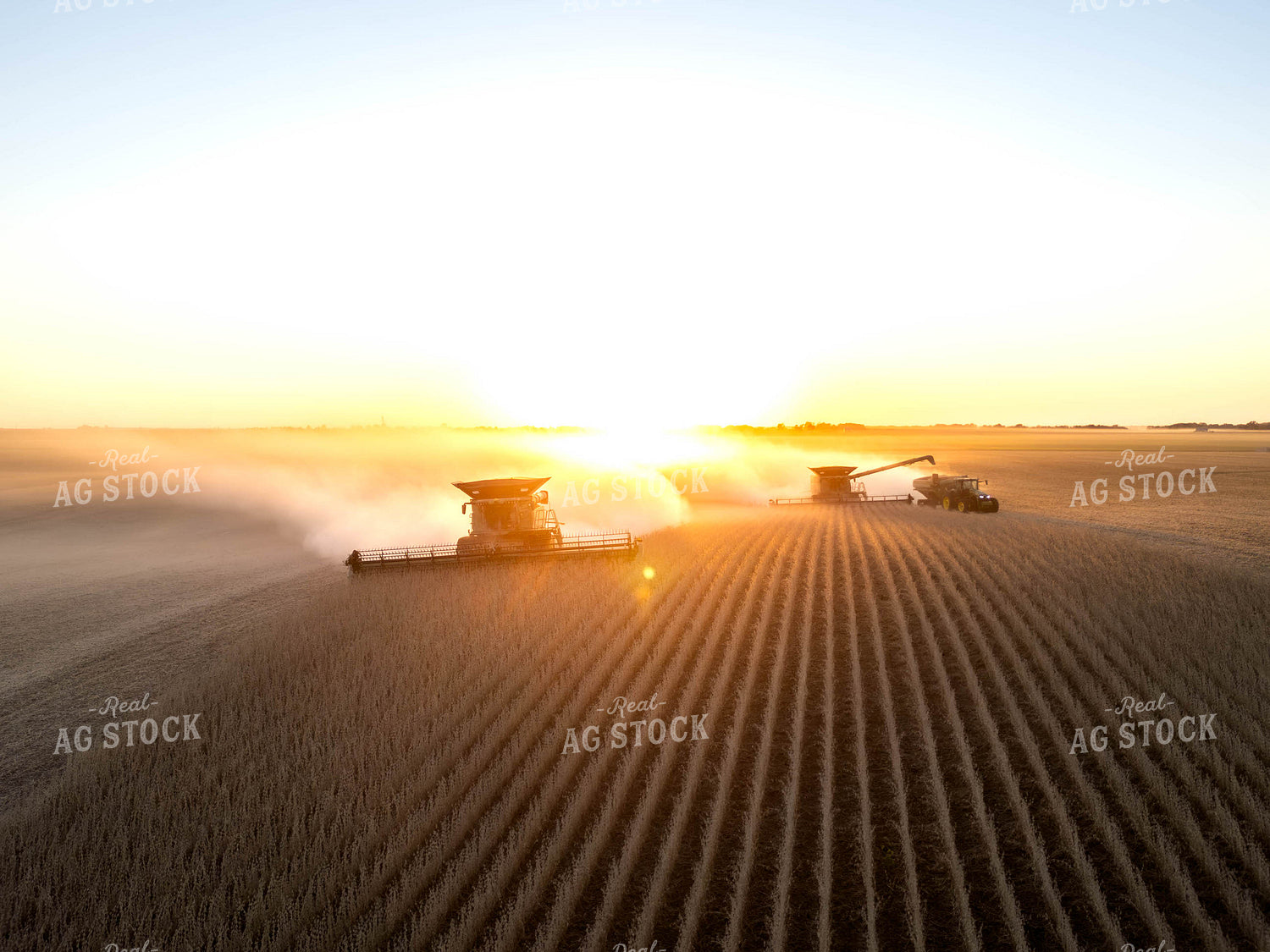 Aerial of Soybean Harvest 115621