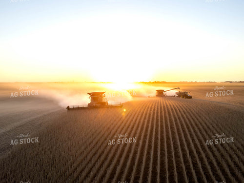 Aerial of Soybean Harvest 115621
