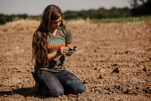 Planting 2767