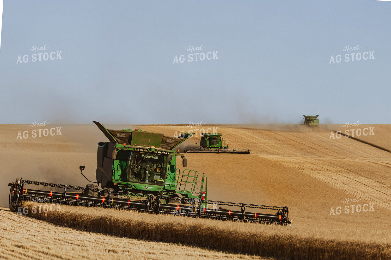 Wheat Harvest 187302