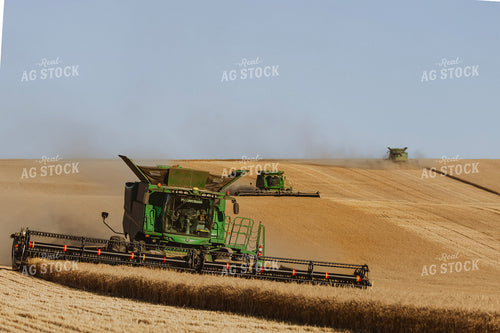 Wheat Harvest 187302