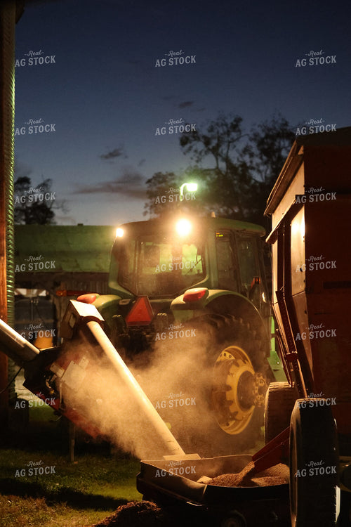 Augering Soybeans into Grain Bin 52259