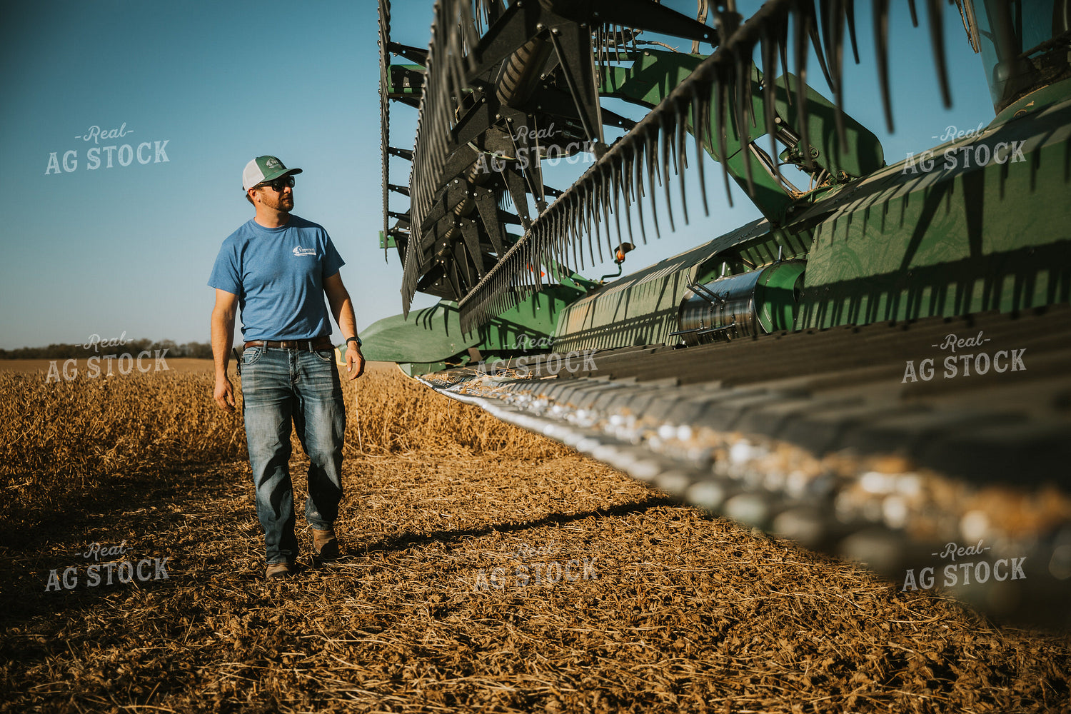 Farmer Inspecting Combine Head 7131