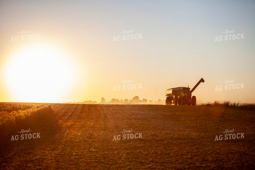 Harvest 1824