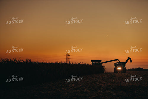 Combine and Auger Cart Harvesting Corn Field 5247