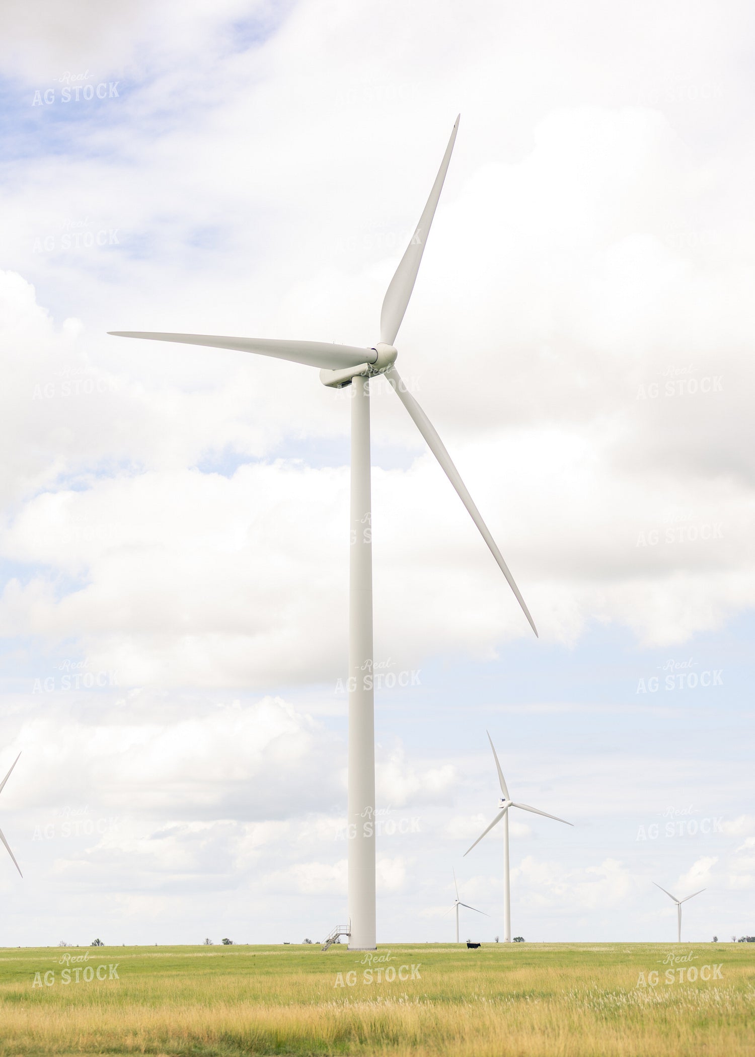 Wind Turbine 264026