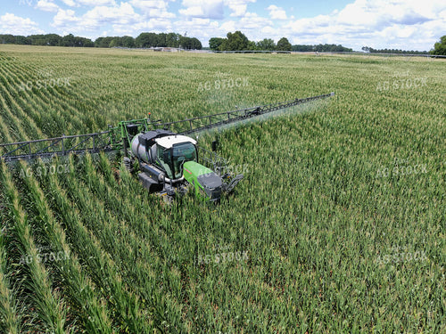 Sprayer in Corn Field 79108