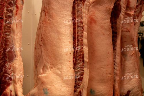 Processing Meat 67508