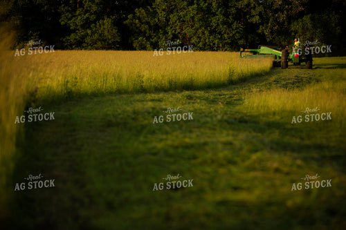 Cutting Hay 4951