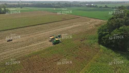 Corn Harvest 92062