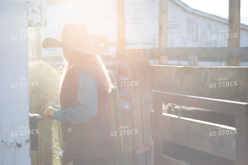 Female Rancher Feeding Cattle 117090