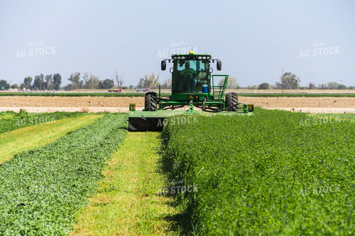 Harvesting Alfalfa 105018