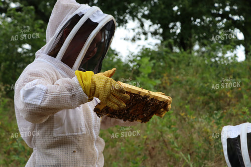 Beekeeper with Bees 201018