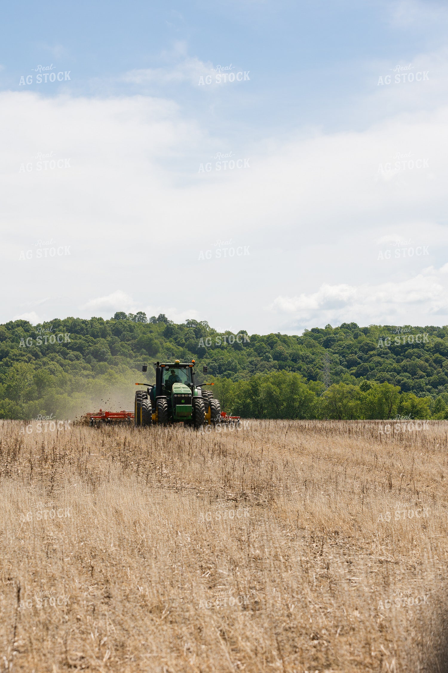 Vertical Tillage 295050