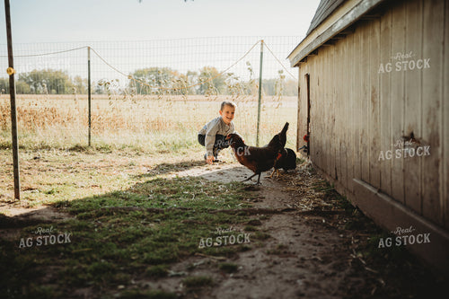 Farm Kid Collecting Eggs 6802