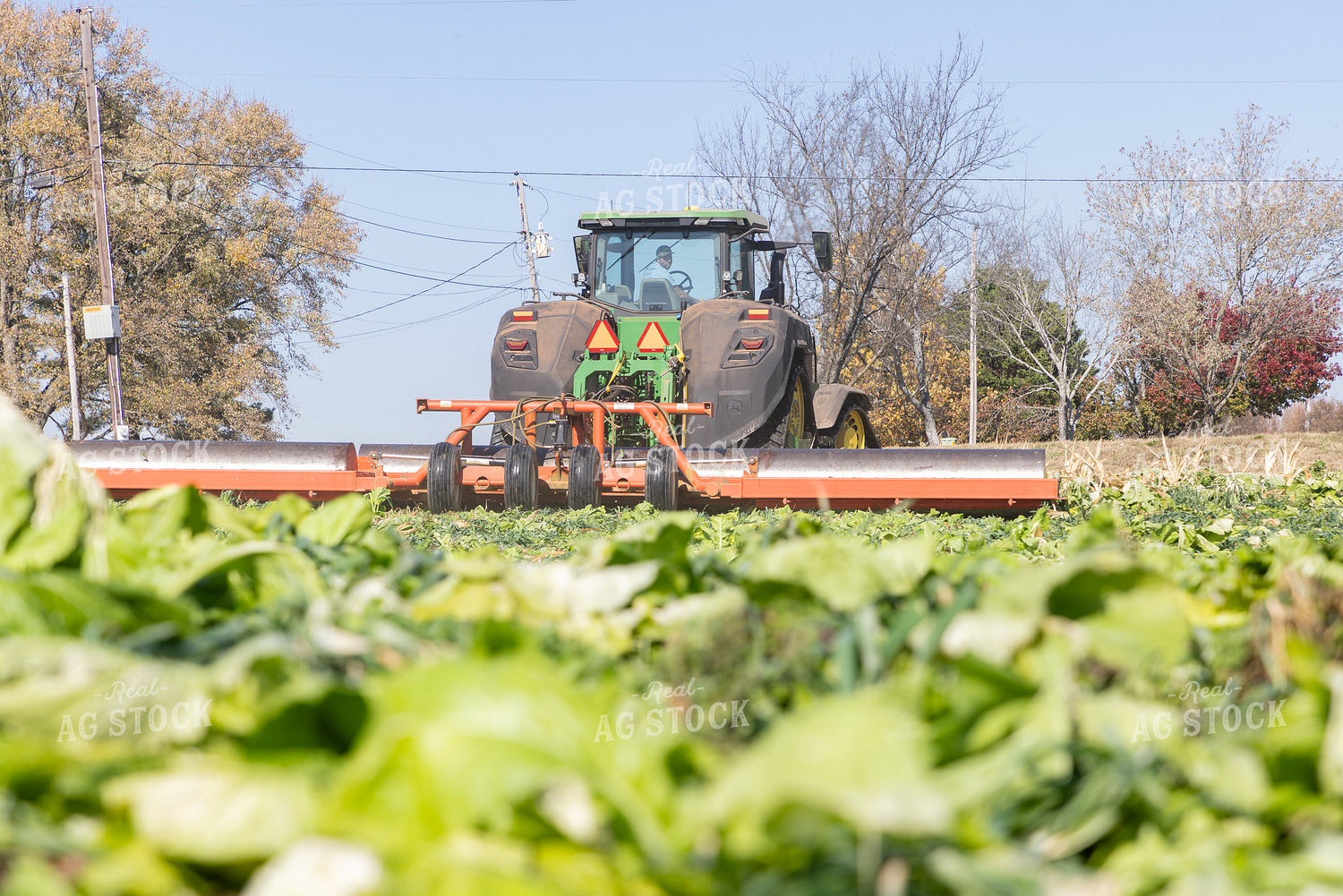 Rolling Cover Crops 79840