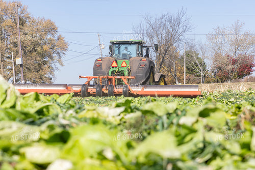 Rolling Cover Crops 79840