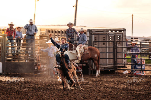 Rodeo 115784