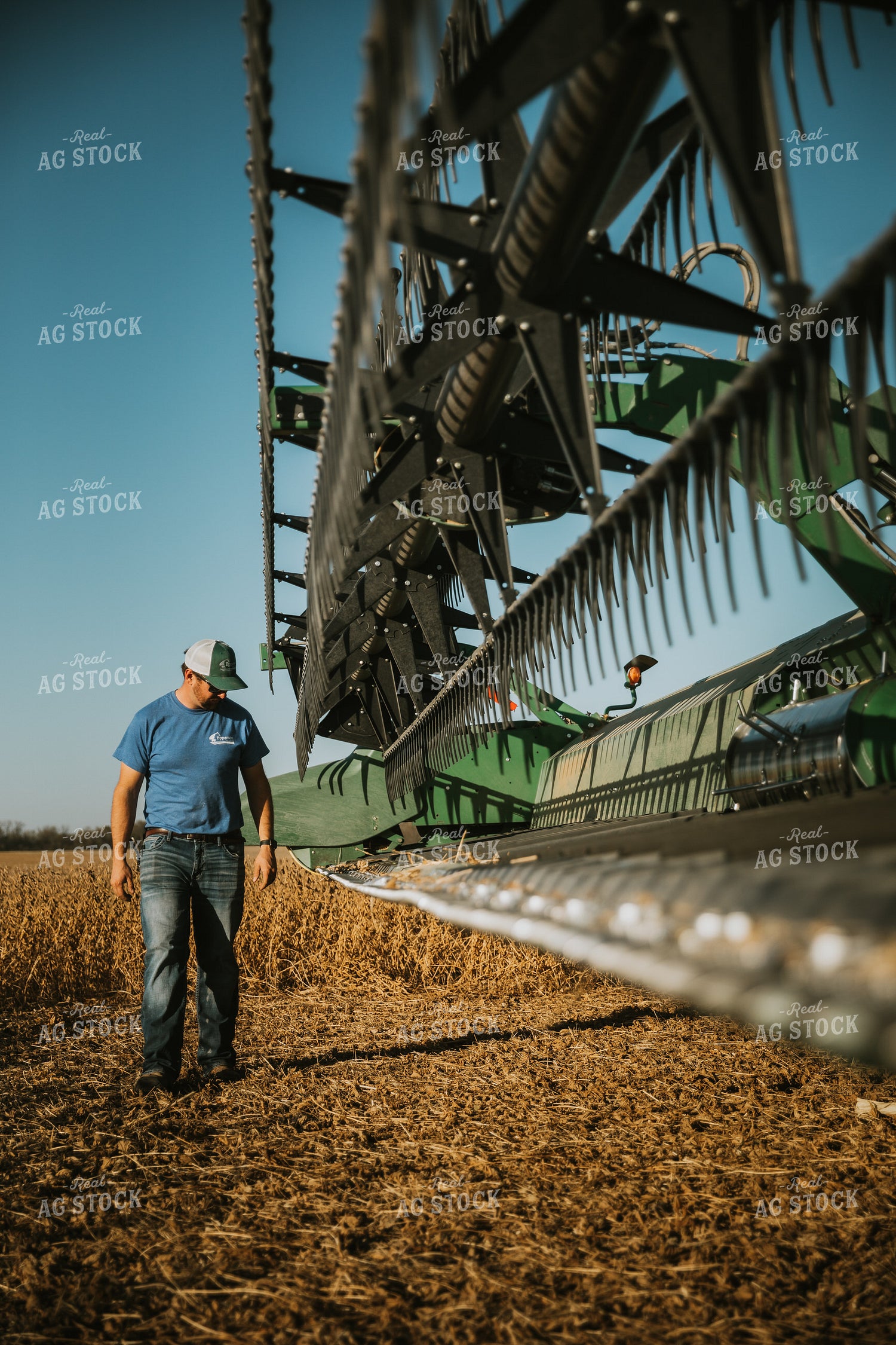 Farmer Inspecting Combine Head 7130