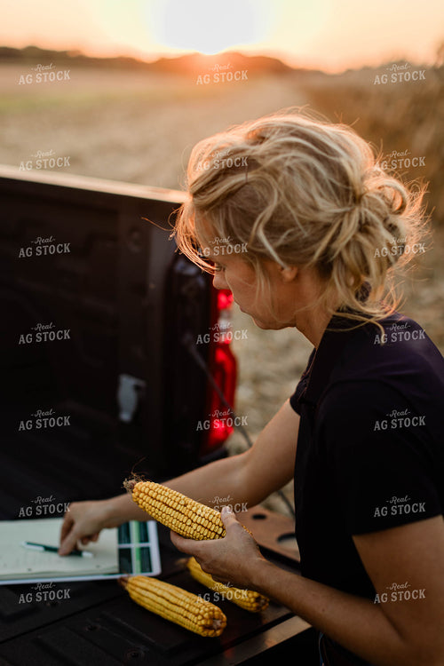 Female Agronomist Checking Corn 8347
