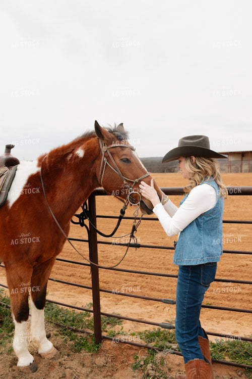 Horses Saddled for Trail Ride 205132
