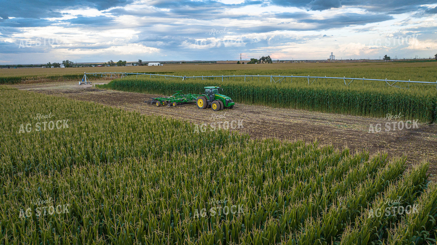 Vertical Tillage 56542