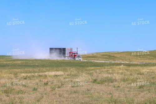 Semi Truck and Livestock Trailer 261116
