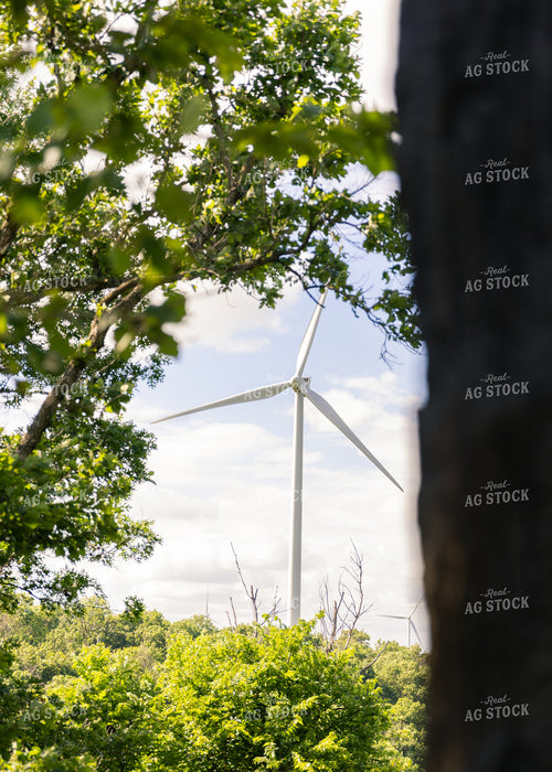 Wind Turbine 264024