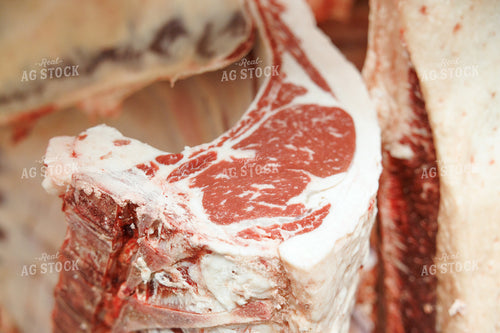 Meat Processing Facility 295211