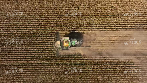 Corn Harvest 92089